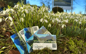 Euregiokarte